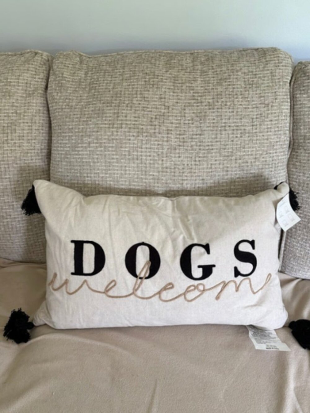 NWT~ Sonoma Goods For Life "Dogs Welcome" Ultimate Hypoallergenic Feather Pillow